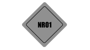 HOME – Página Principal